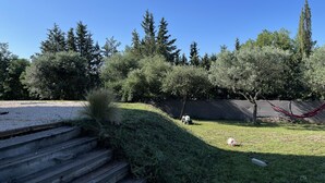 A garden with steps leading up to a grassy area, surrounded by trees and a hammock.