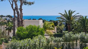 Zona residencial costera con vista al mar, rodeada de vegetación y palmeras.