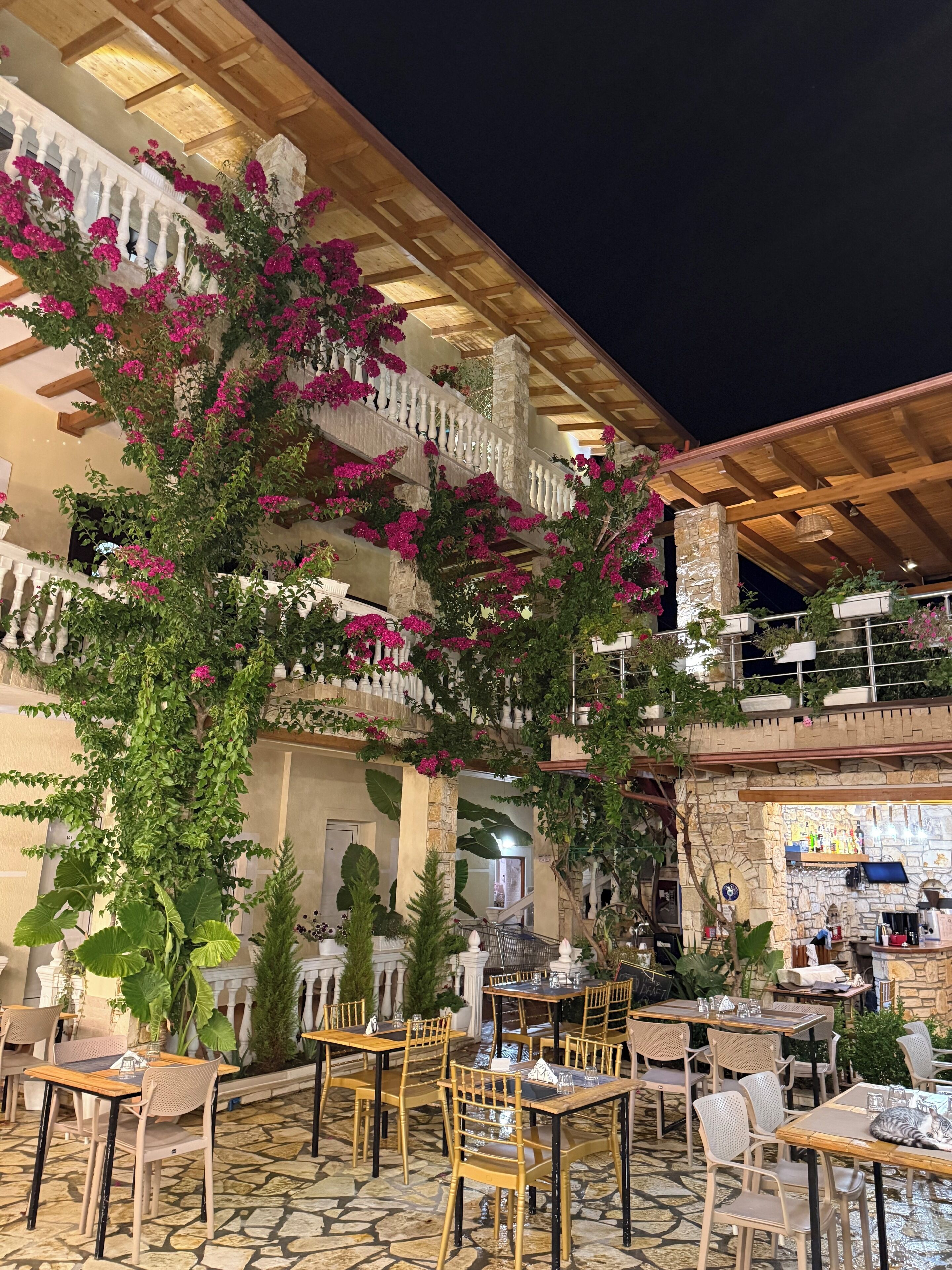 Façana frontal de l'allotjament (vespre/nit)