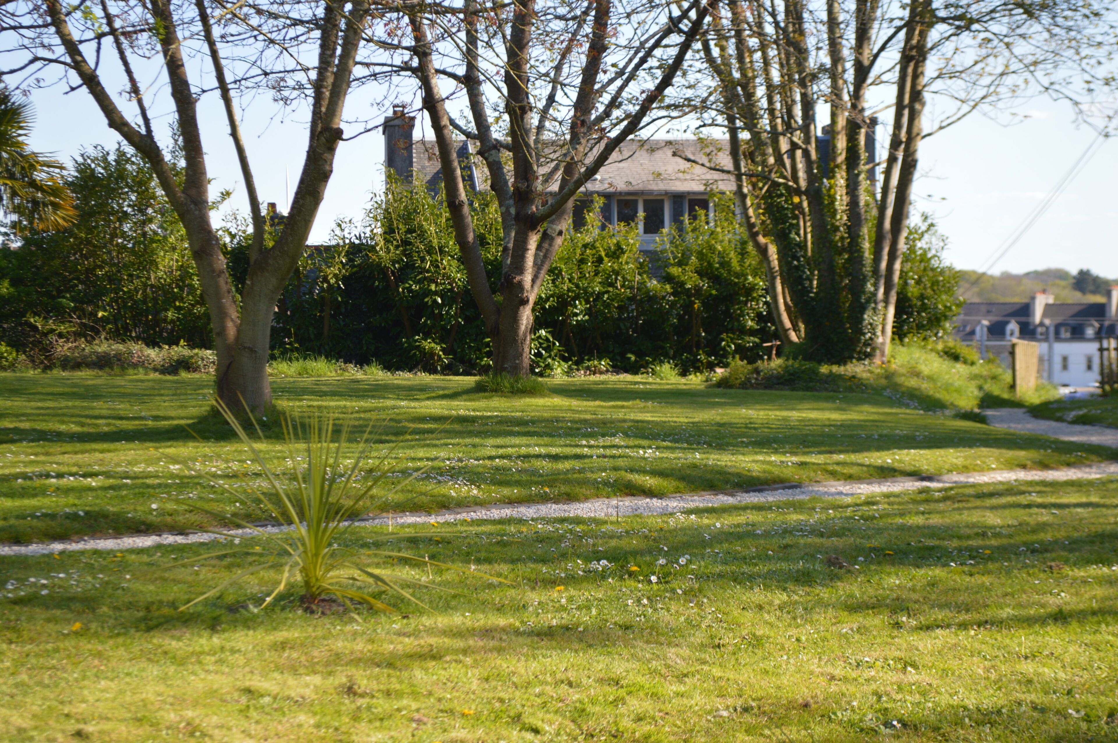 A grassy area with trees and a building in the background.