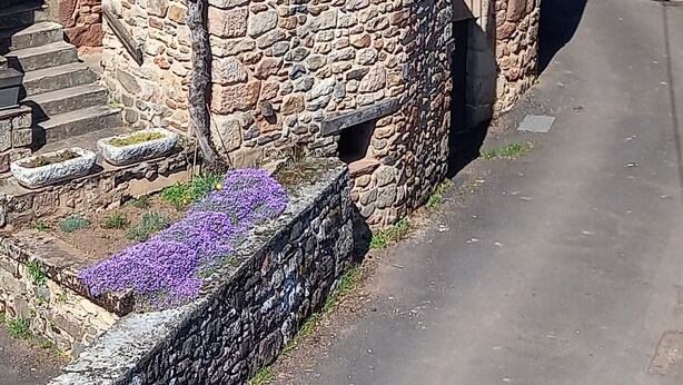 Ein Haus aus Stein mit Balkon, Schornstein und einem kleinen Garten mit violetten Blumen.
