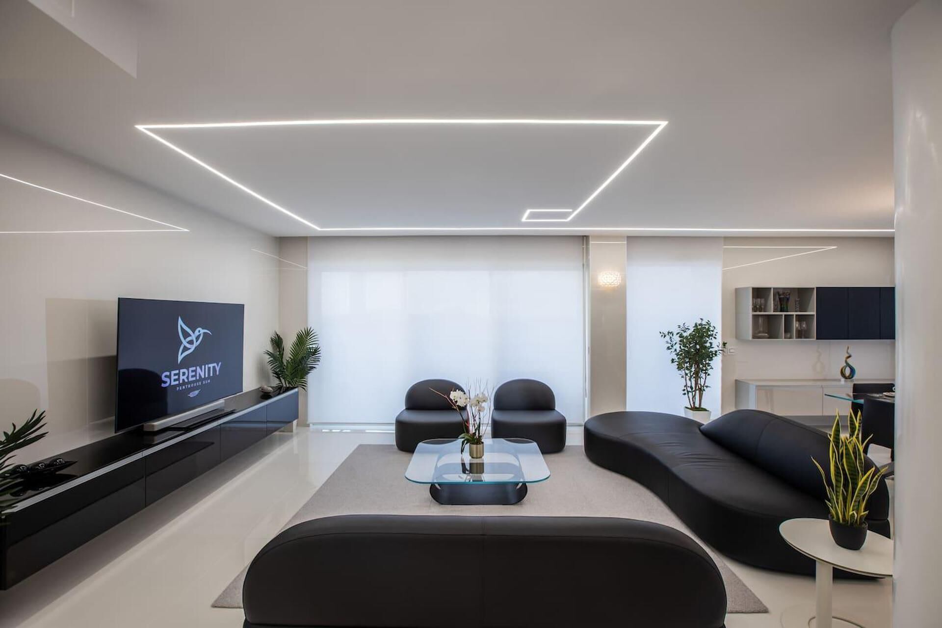 A modern living room with a flat-screen TV, black sofas, a glass coffee table, and potted plants.
