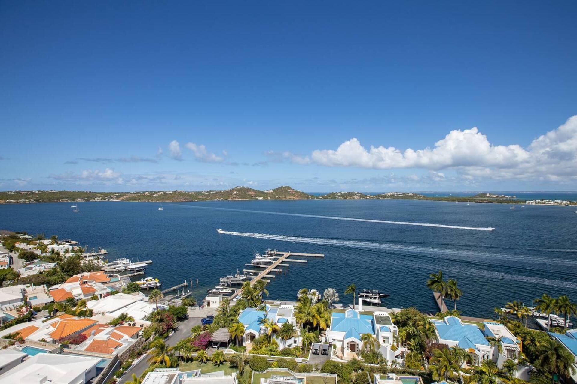A marina with boats, a clear sky, and a coastal town with houses and palm trees.