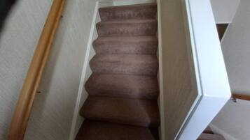 A carpeted staircase with a wooden handrail and white walls.