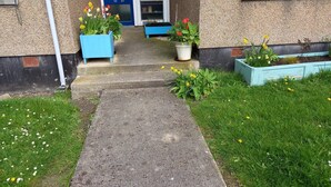 A pathway leading to a building with a blue door, potted plants, and a grassy area with flowers.