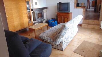 Televisión, chimenea, reproductor de DVD y libros