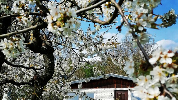 A wooden cabin with a sloped roof and a fenced yard. - Vacation home Chiara in Ilfeld, idyllic directly in the countryside!!!  (Harztor)