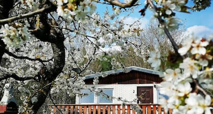 Vacation home Chiara in Ilfeld, idyllic directly in the countryside!!!