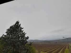 Appartamento, 1 letto queen | Vista dalla camera