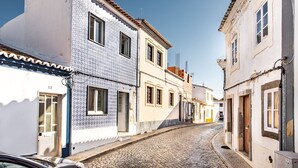 A narrow cobblestone street lined with buildings featuring traditional architecture and a tiled facade.