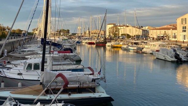 A marina with various boats docked, calm water, and buildings in the background.
