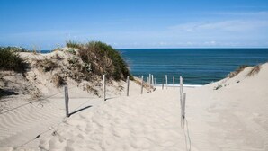 A sandy beach with a wooden fence and vegetation.