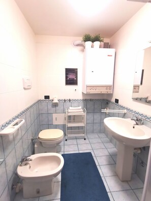 Shower, hair dryer, bidet, soap