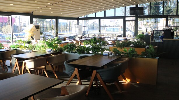 Un comedor interior con mesas y sillas, ventanas amplias y plantas en macetas.