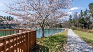 Immagine non classificata, 3 di 29, pulsante