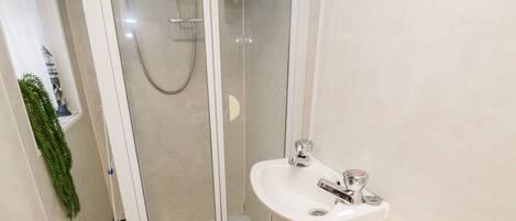 Une salle de bain moderne avec une douche à parois de verre, un lavabo blanc et une petite plante.