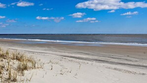 Une plage de sable avec une végétation clairsemée.
