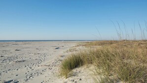 A sandy beach with sparse vegetation and footprints. - Shipwatch A105: Oceanfront, private balcony & spectacular views in Wild Dunes (Isle of Palms)