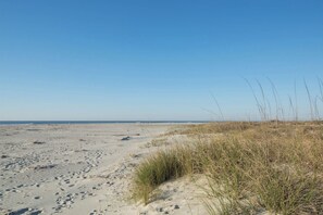 On the beach - Shipwatch A105: Oceanfront, private balcony & spectacular views in Wild Dunes (Isle of Palms)