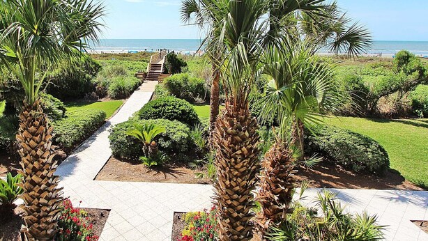 A pathway leading to a beach with palm trees and a clear view of the ocean. - Located in the heart of Isle of Palms with direct access to the oceanfront (Isle of Palms)