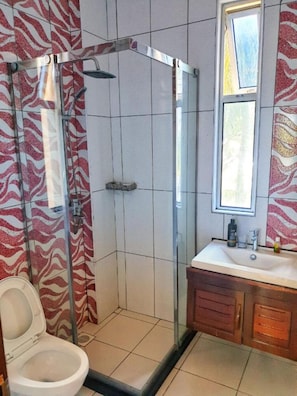 A bathroom with a glass-enclosed shower, a white toilet, a sink with a mirror, and patterned tiles on the walls.