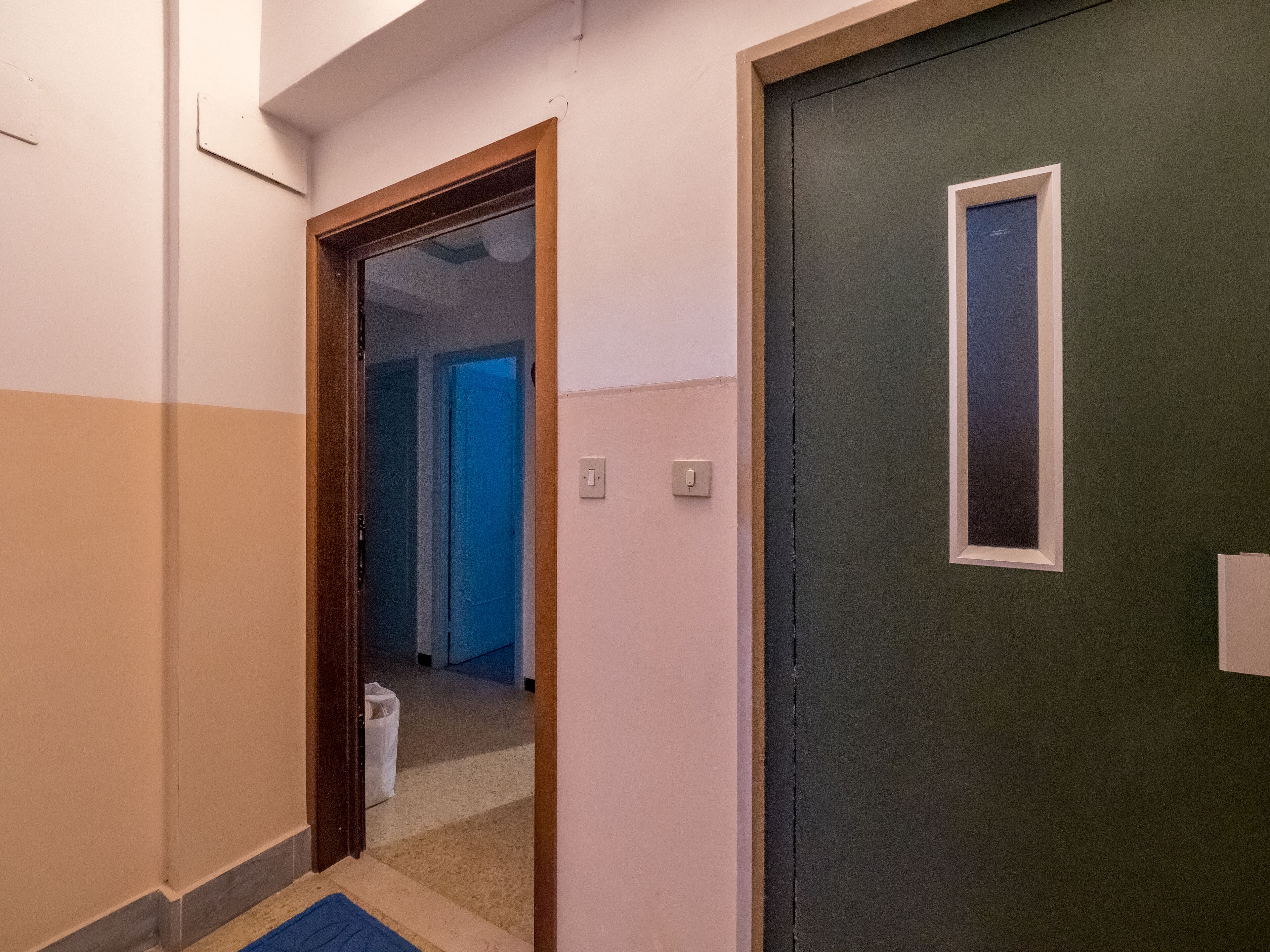 Un pasillo con una puerta cerrada, un interruptor de luz a la vista y suelo alfombrado.