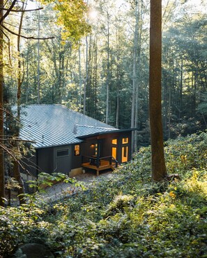 Une cabane dotée d’un toit en pente, entourée d’une forêt dense.