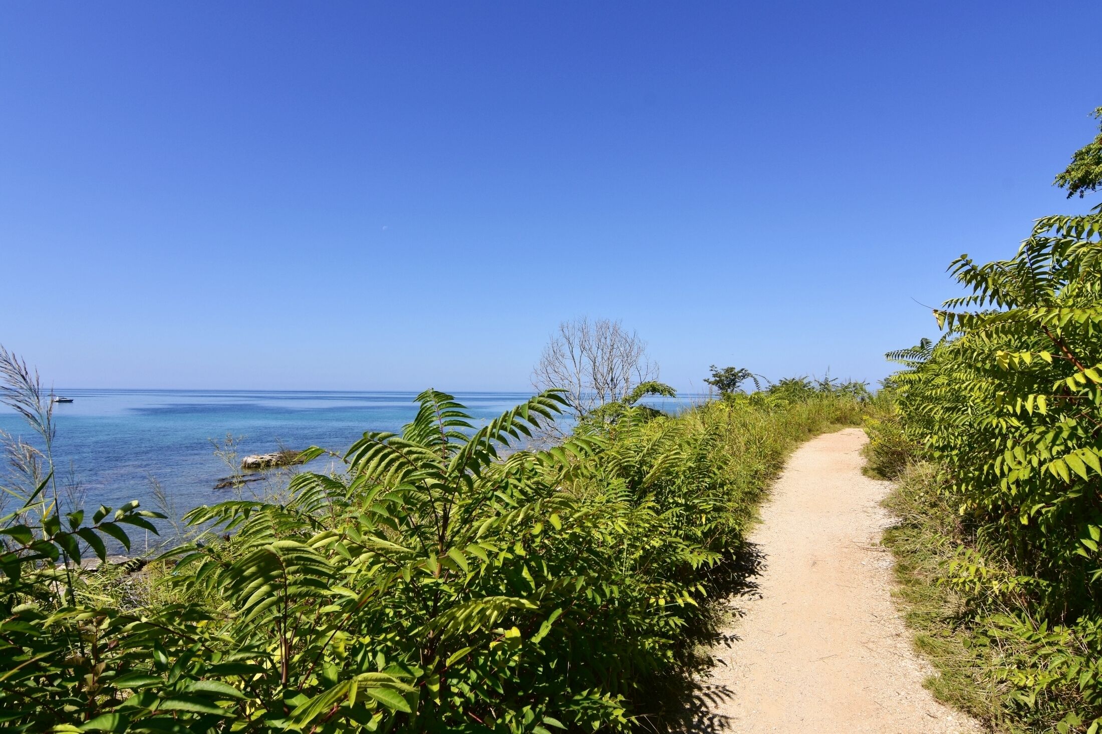 Un camí de terra que porta a una platja d'aigua turquesa i vegetació abundant.