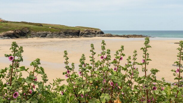 A beach with a rocky cliff in the background and a clear sky. - Constantine Bay Cottage (Padstow)