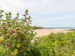 Ferienhaus | Strand