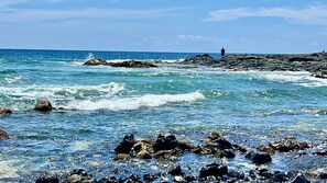 Studio | Beach | Beach nearby - Outstanding Oceanfront Studio - Kona Islander Inn Condos Condo by RedAwning (Kailua-Kona)