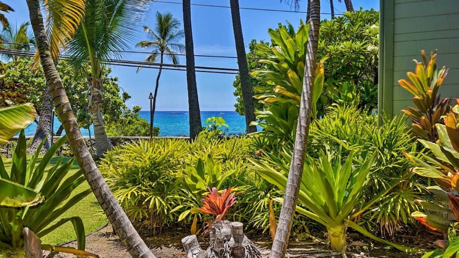 Outstanding Oceanfront Studio - Kona Islander Inn Condos Condo by RedAwning