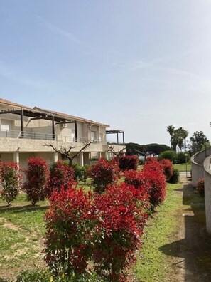 Terrain de l’hébergement 