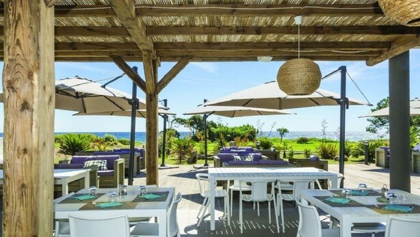 An outdoor dining area with white tables and chairs, large umbrellas, and a view of the ocean. - At the end of the garden, the pine forest and the beach (Poggio-Mezzana)