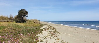 La Costa verde les pieds dans l'eau, jardin et front de plage