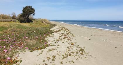 The Costa verde with its feet in the water, garden and beachfront