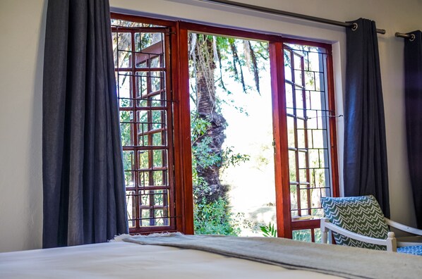 Kamar Standar | Pemandangan taman