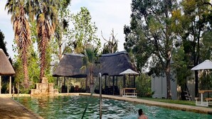 Une piscine avec une personne dans l’eau, entourée d’arbres et de structures couvertes.