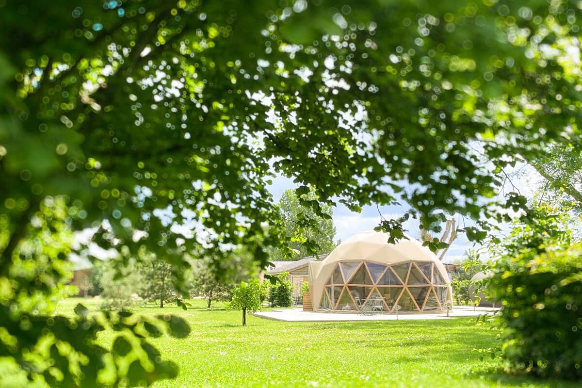 Una estructura de domo geodésico en un parque con césped y árboles.