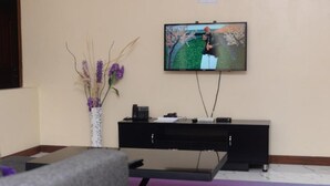 Sala de estar com televisão de tela plana na parede, um rack preto, um vaso com plantas secas e um tapete roxo.