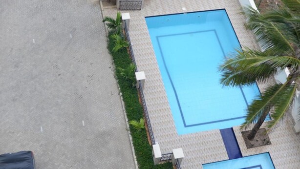 Uma piscina retangular com deck revestido de azulejos, ladeada por um muro baixo e pequenas palmeiras.