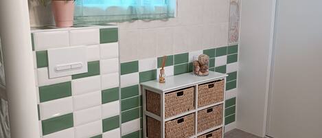 Shower, hair dryer
