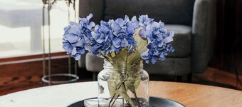 Relax & Recharge: Mid-Century Modern Home with Sauna in Spring Green