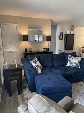 TV connectée, cheminée, chaîne hi-fi