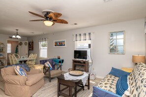 TV a schermo piatto, caminetto, lettore DVD, libri