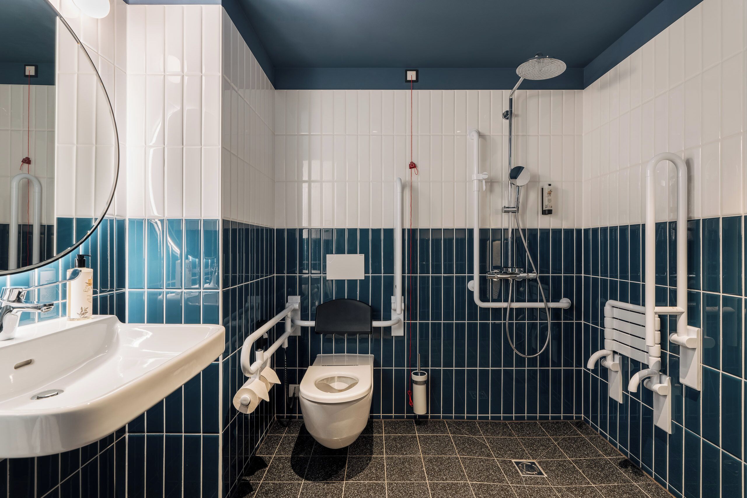 Ein Badezimmer mit weißem Waschbecken, Toilette, Dusche und Handlauf.