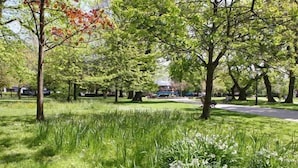 A park with grass, trees, and a road. - Andiamo (Poole)