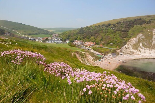 Interior - The Lambs' Pen (Wimborne)