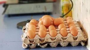 Zona de desayunos