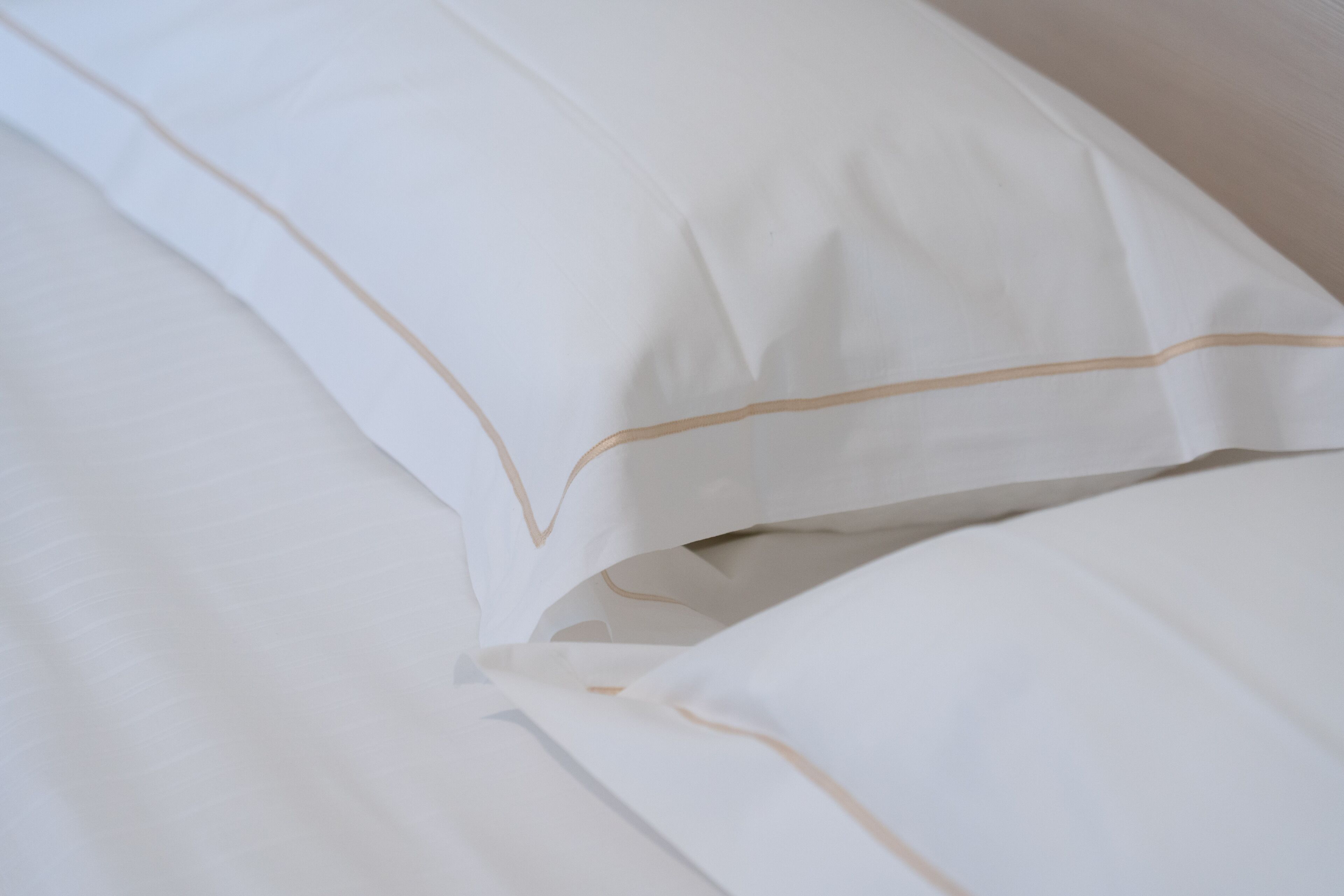 Photo - Hotel Donatello